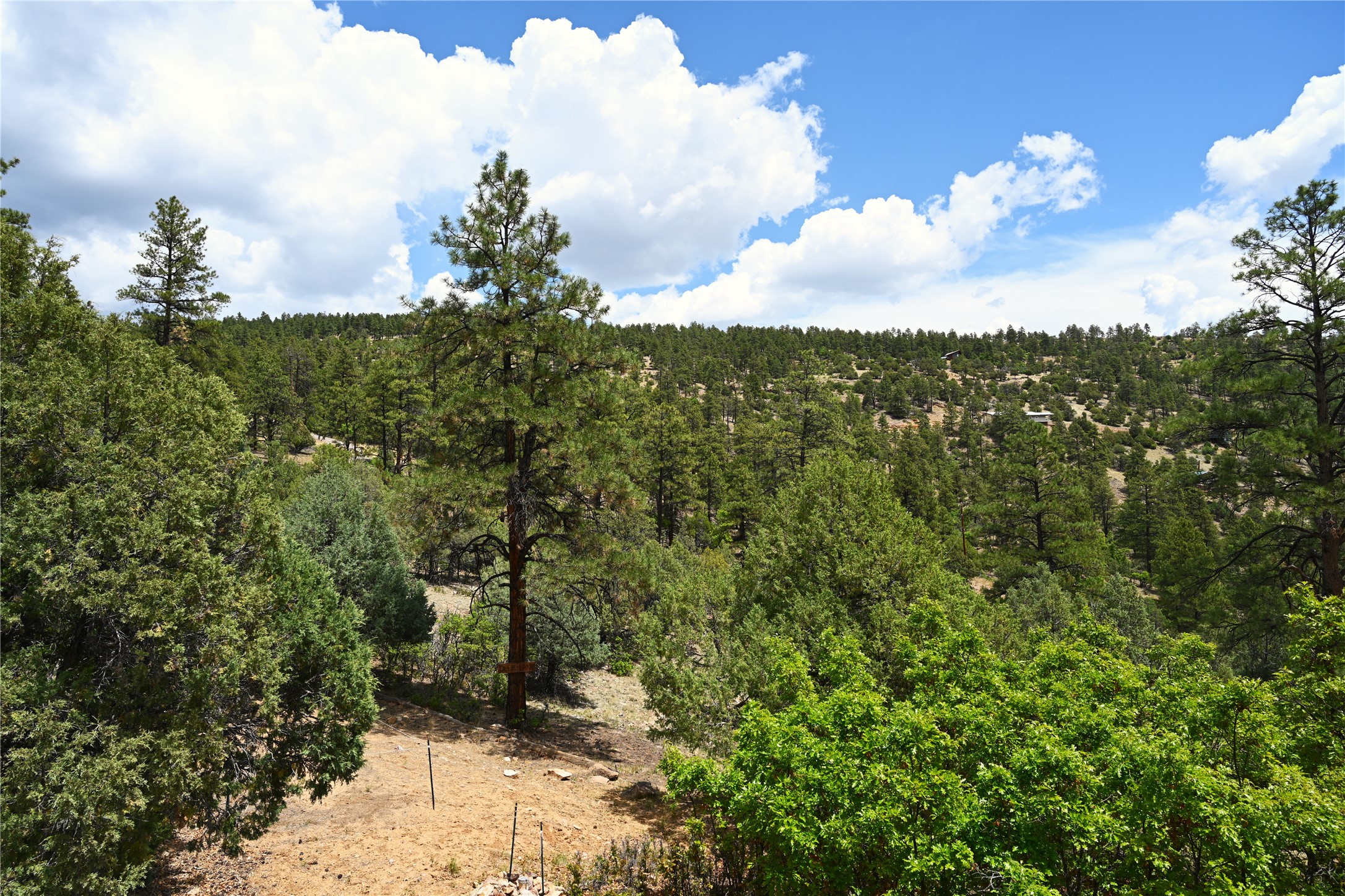 72 Buena Vista Dr Dr, Los Ojos, New Mexico image 42