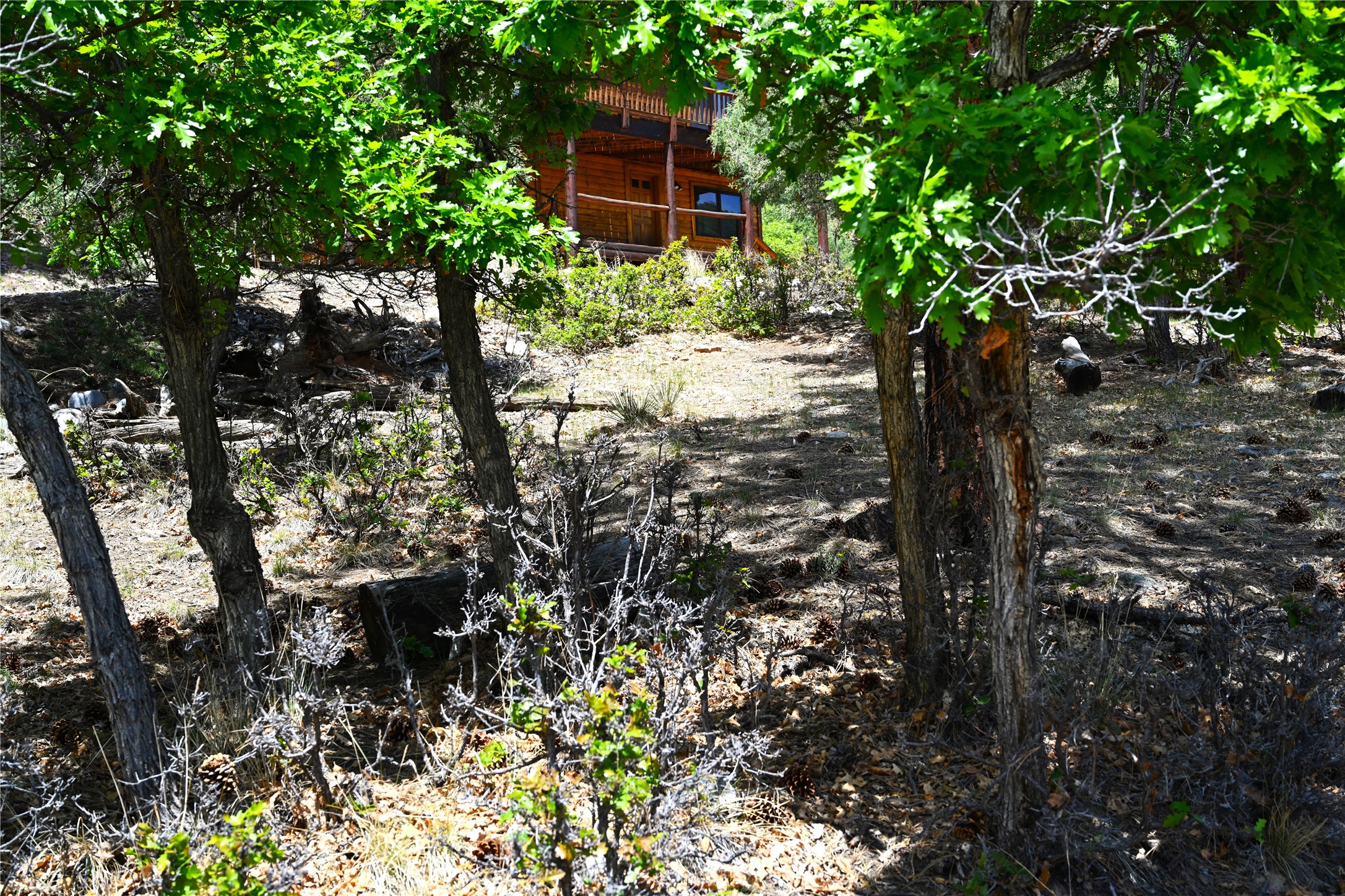 72 Buena Vista Dr Dr, Los Ojos, New Mexico image 9