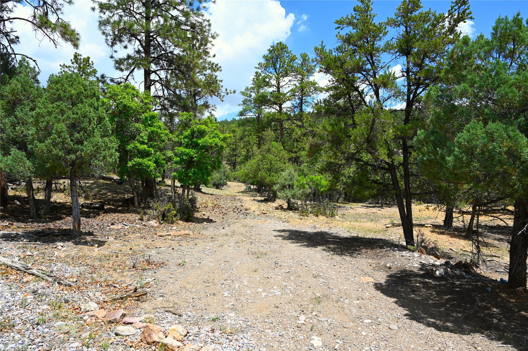 72 Buena Vista Dr Dr, Los Ojos, New Mexico image 7