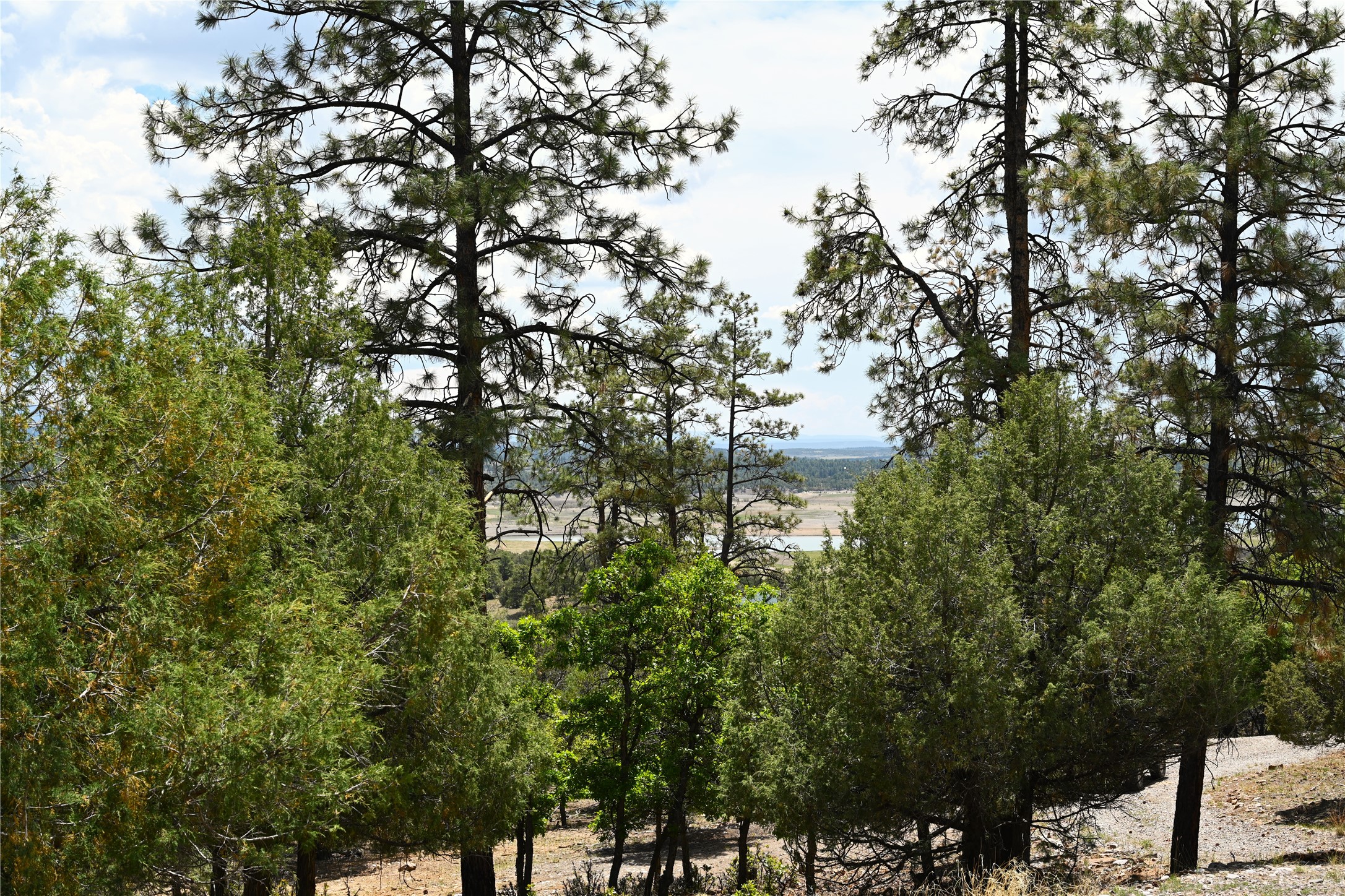 72 Buena Vista Dr Dr, Los Ojos, New Mexico image 8