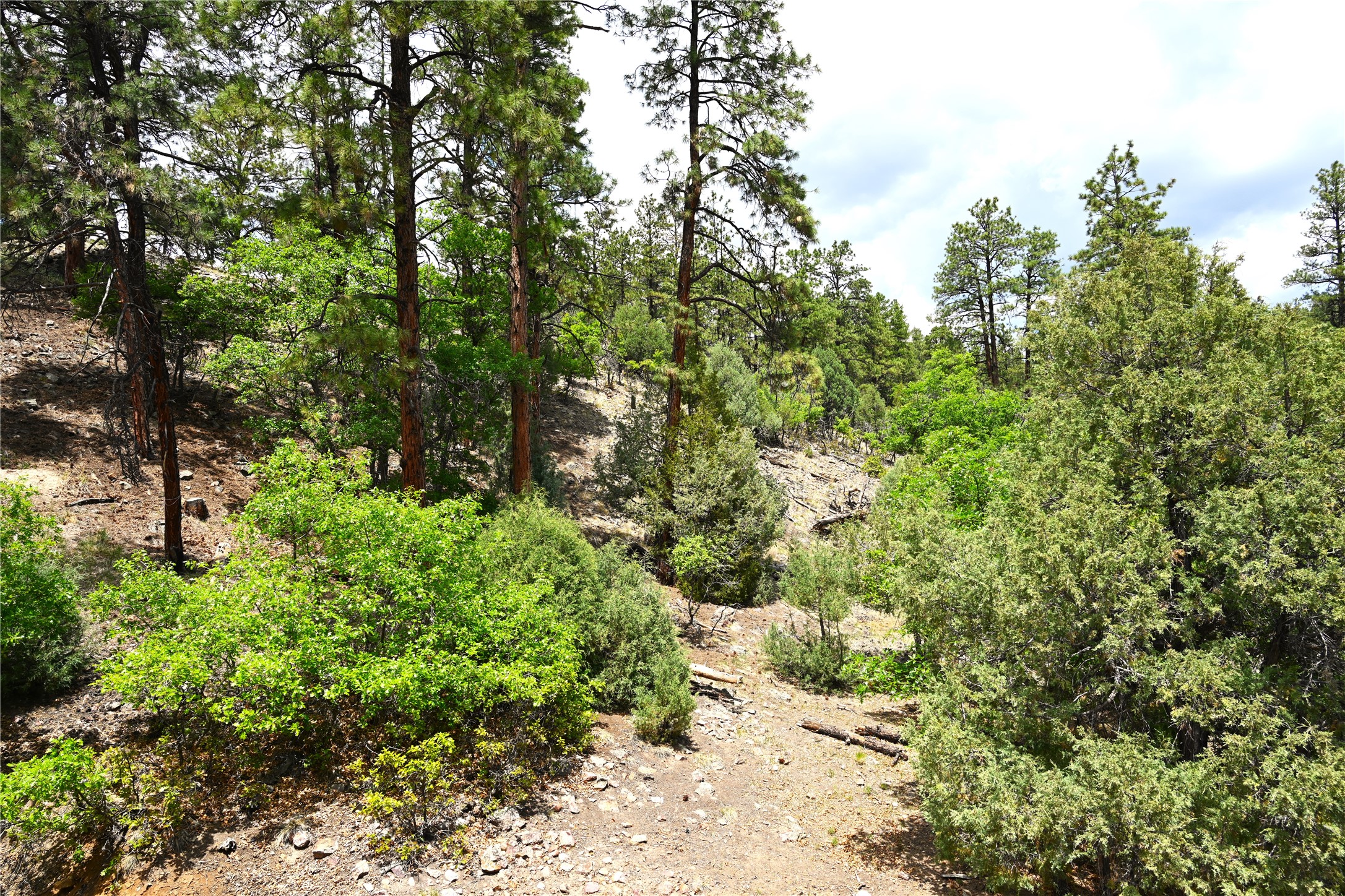 72 Buena Vista Dr Dr, Los Ojos, New Mexico image 41