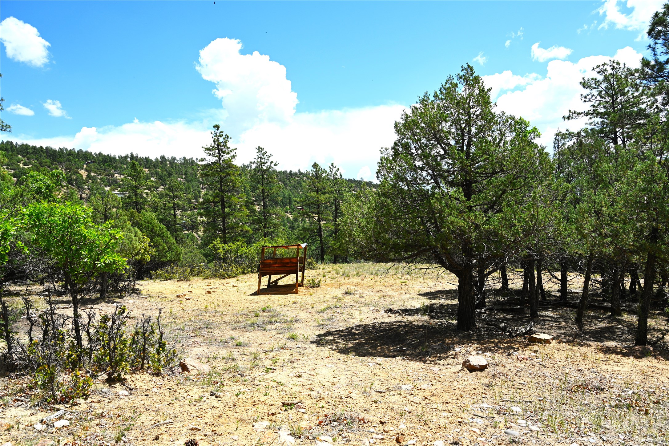 72 Buena Vista Dr Dr, Los Ojos, New Mexico image 10