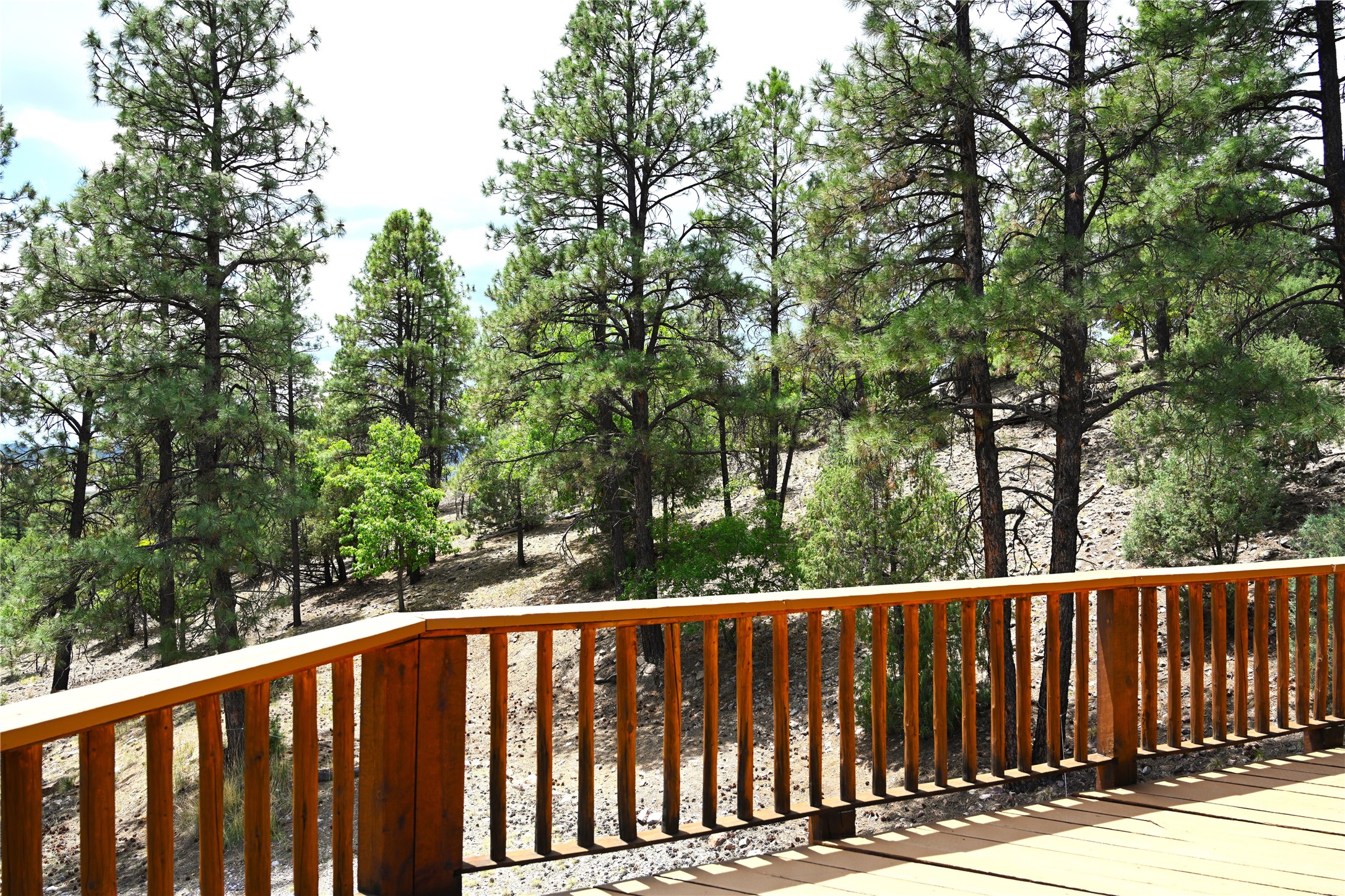 72 Buena Vista Dr Dr, Los Ojos, New Mexico image 37