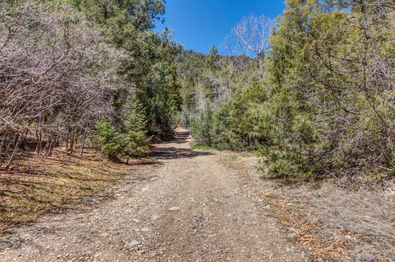 38.43 Acres Sawyer Mesa, Pecos, New Mexico image 10