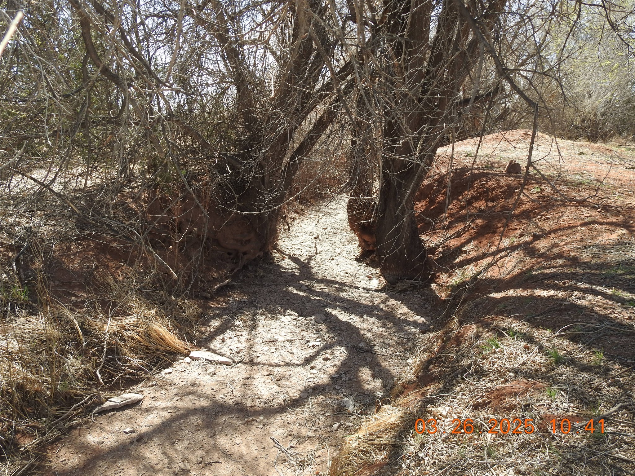 342 Cr B41e Road, Ribera, New Mexico image 37