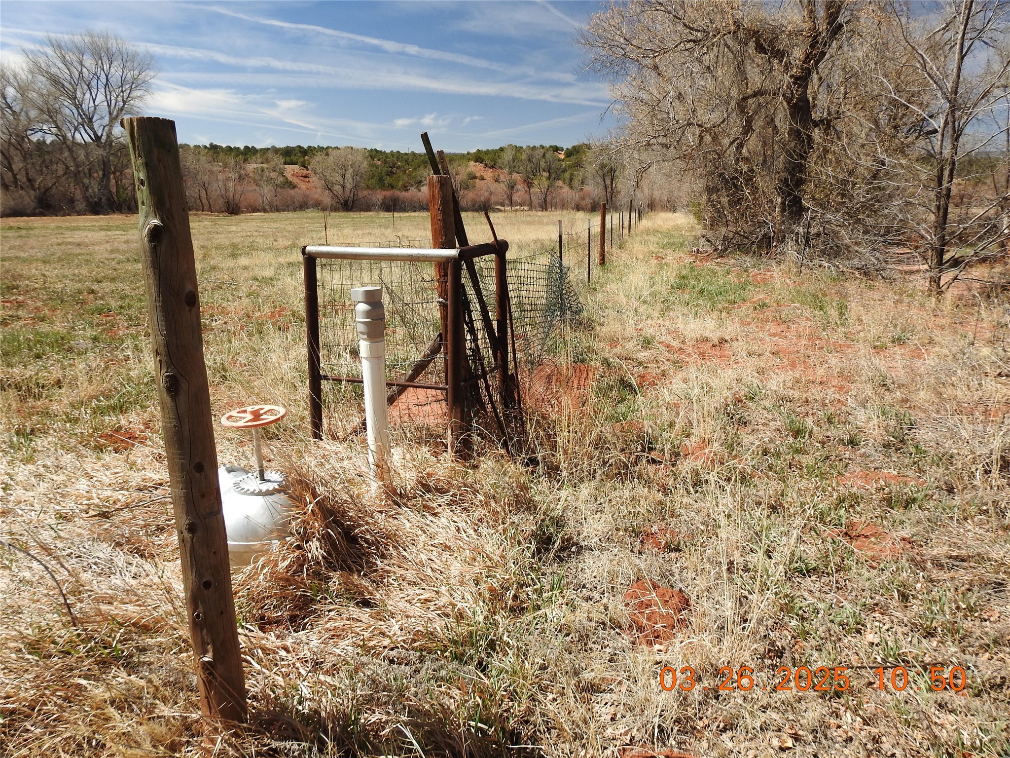 342 Cr B41e Road, Ribera, New Mexico image 49