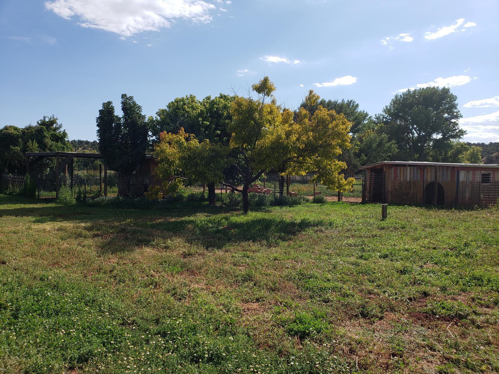 342 Cr B41e Road, Ribera, New Mexico image 4