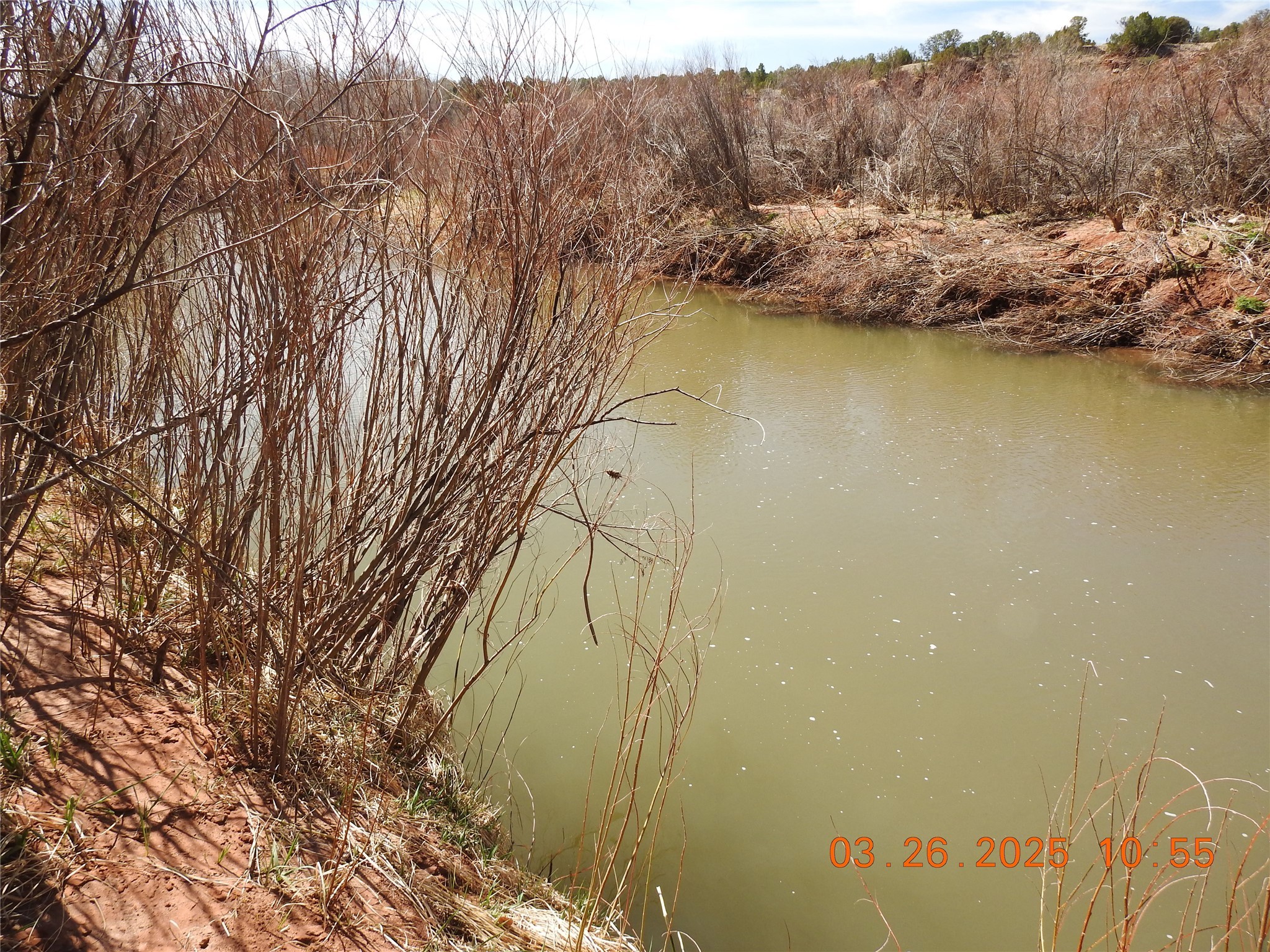 342 Cr B41e Road, Ribera, New Mexico image 50