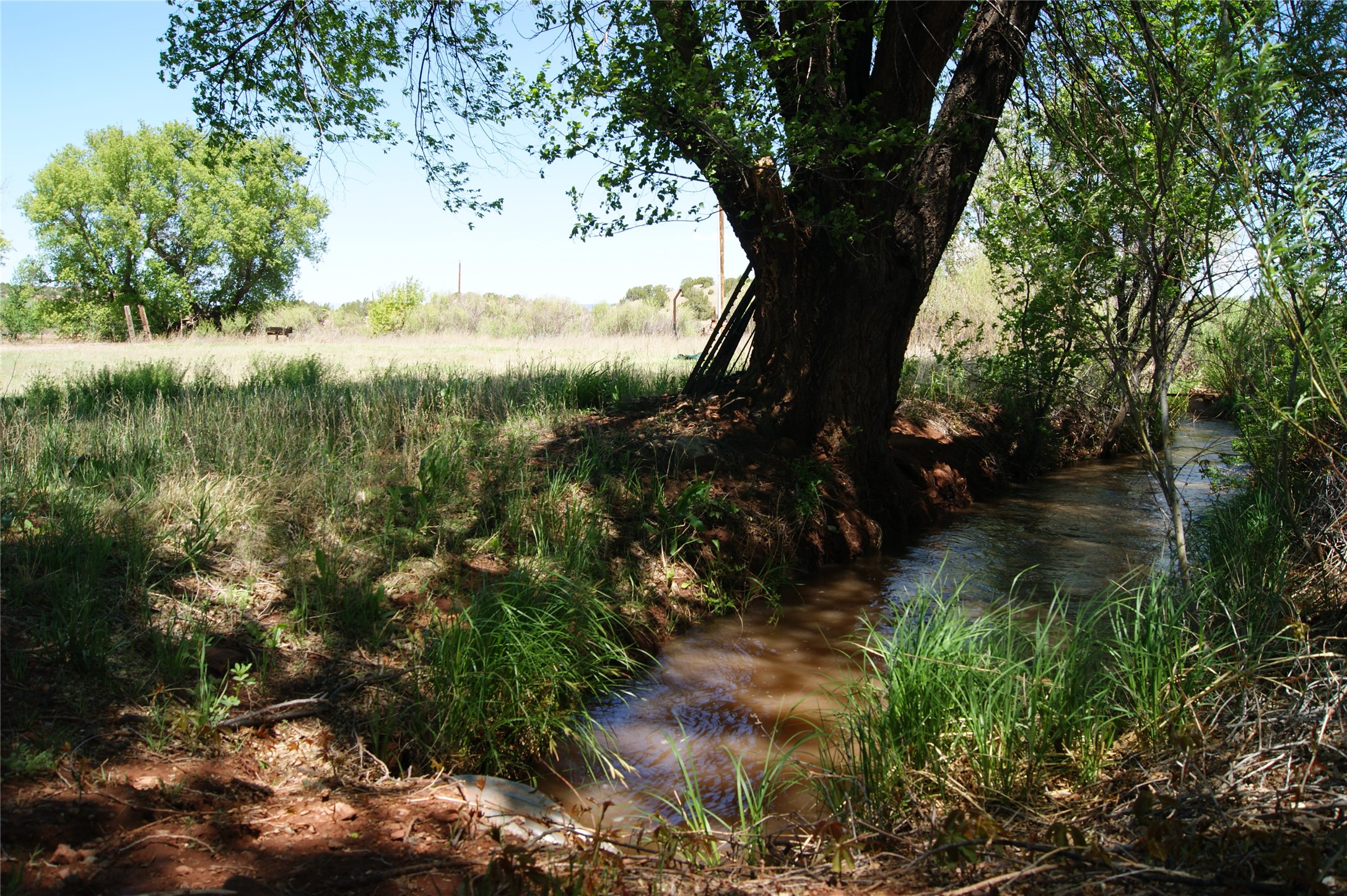 342 Cr B41e Road, Ribera, New Mexico image 40