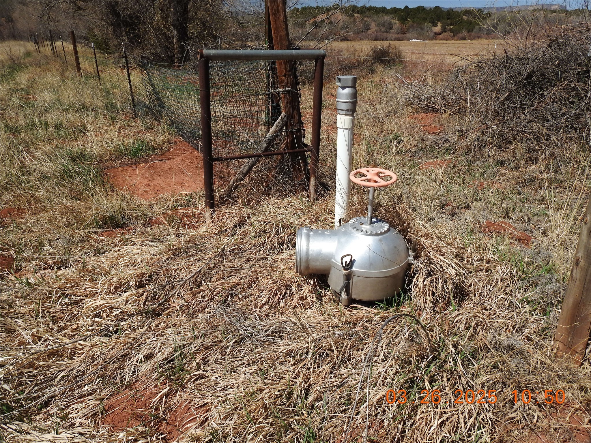 342 Cr B41e Road, Ribera, New Mexico image 48