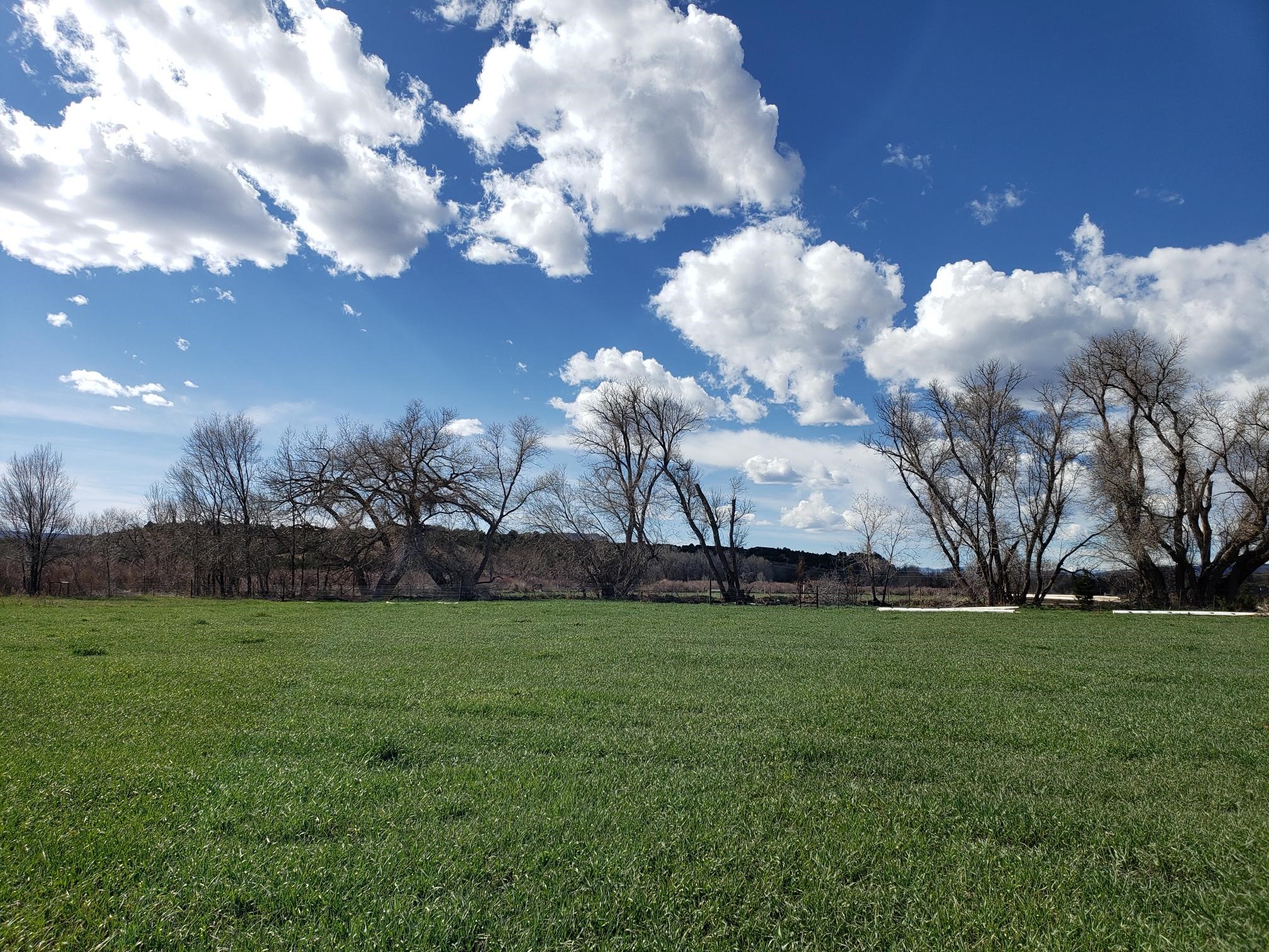 342 Cr B41e Road, Ribera, New Mexico image 5