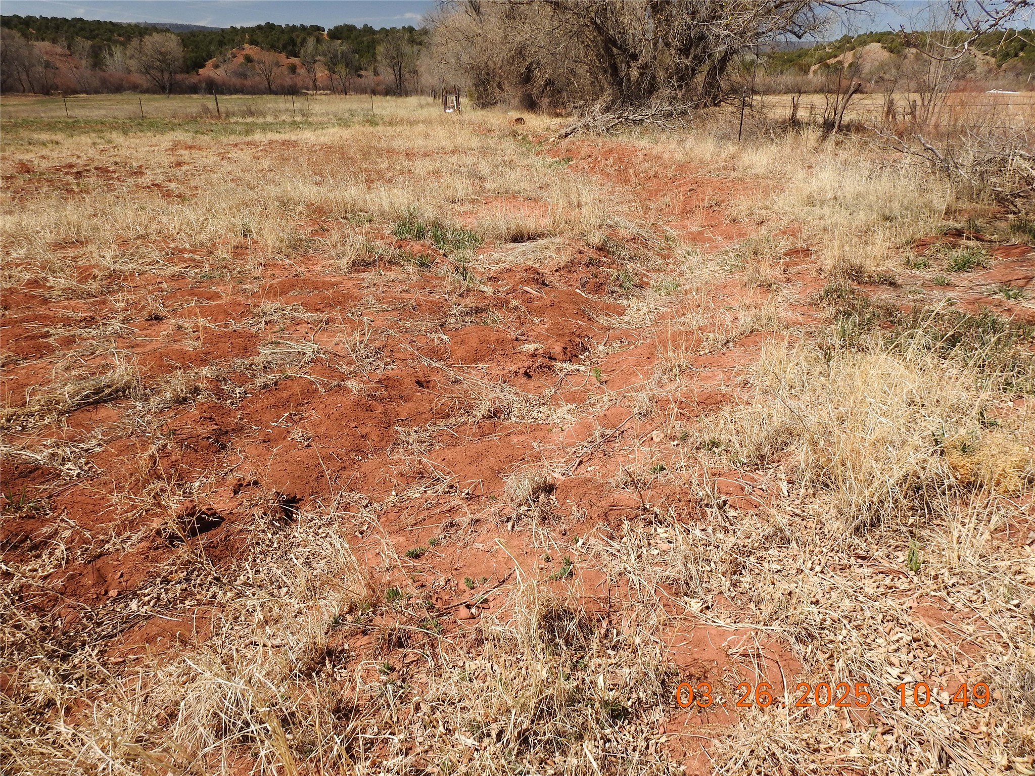 342 Cr B41e Road, Ribera, New Mexico image 47