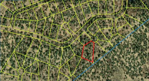 Vacant Land For Sale - BLOCK 23 LOT 13 Tzama Division<br/> Rio Arriba County, Tierra Amarilla, NM 87575