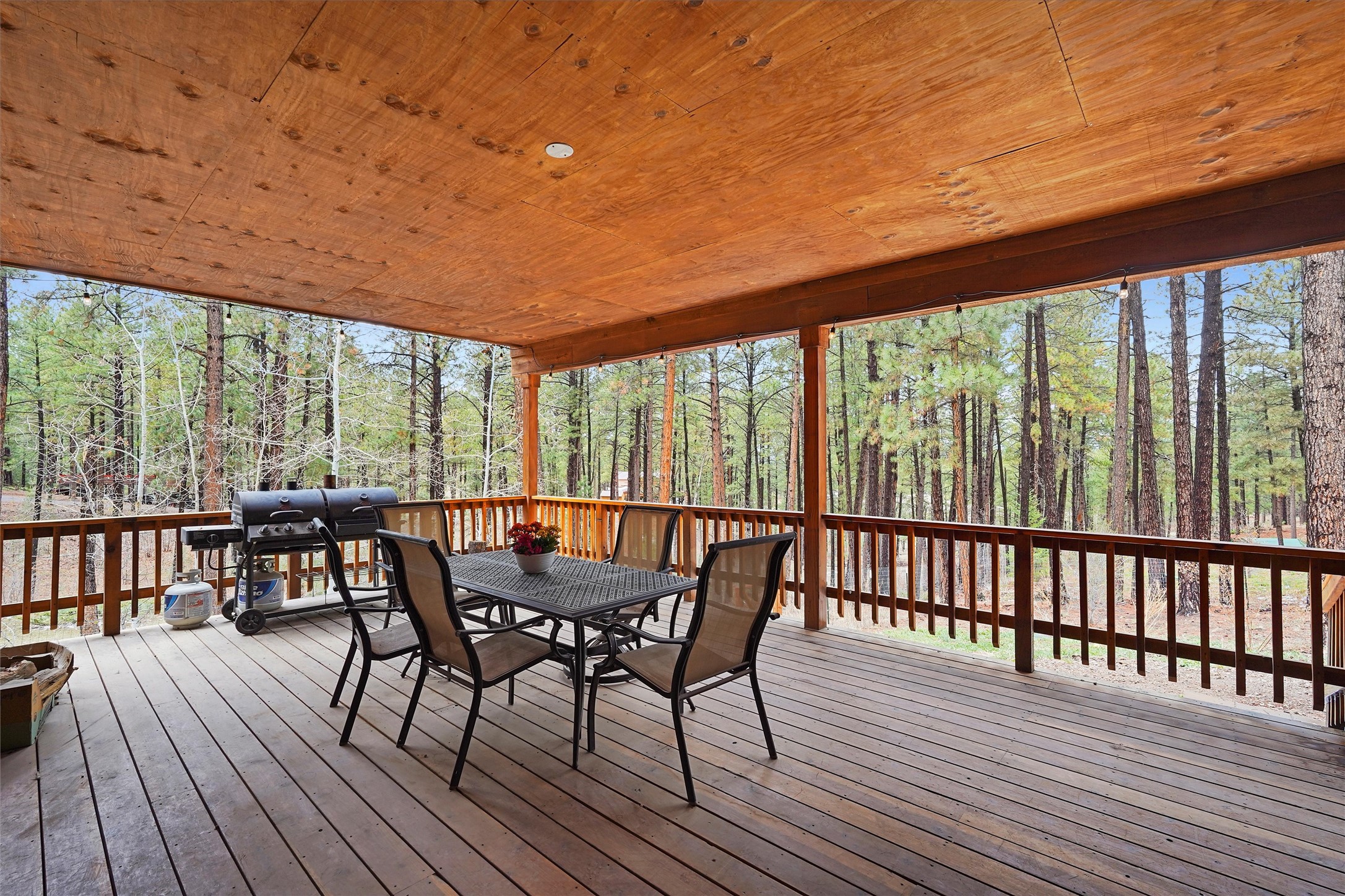 10 Outliers Road, Jemez Springs, New Mexico image 37