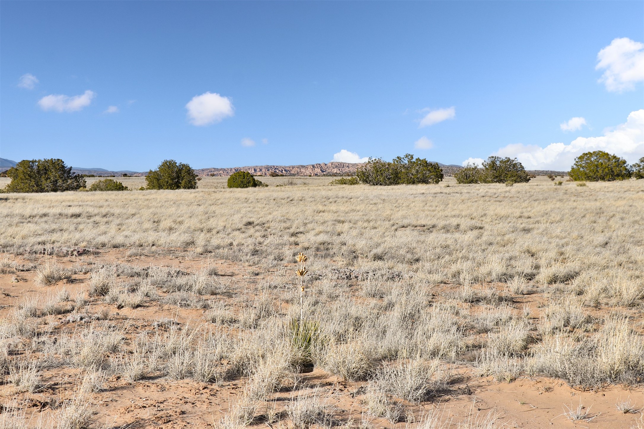 TBD Lot 16-B Corona Drive, Medanales, New Mexico image 8