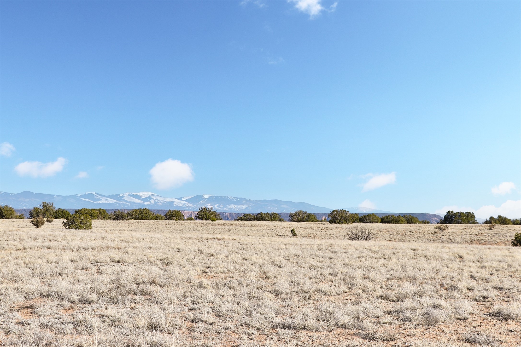 TBD Lot 16-B Corona Drive, Medanales, New Mexico image 4