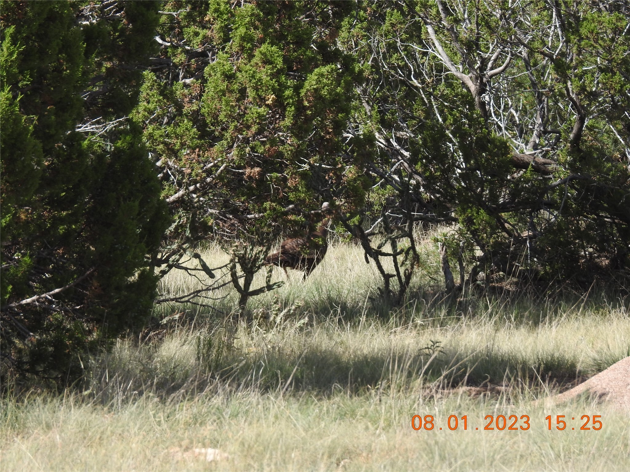 Photo 44 of 44 of 784 Apache Mesa Road land
