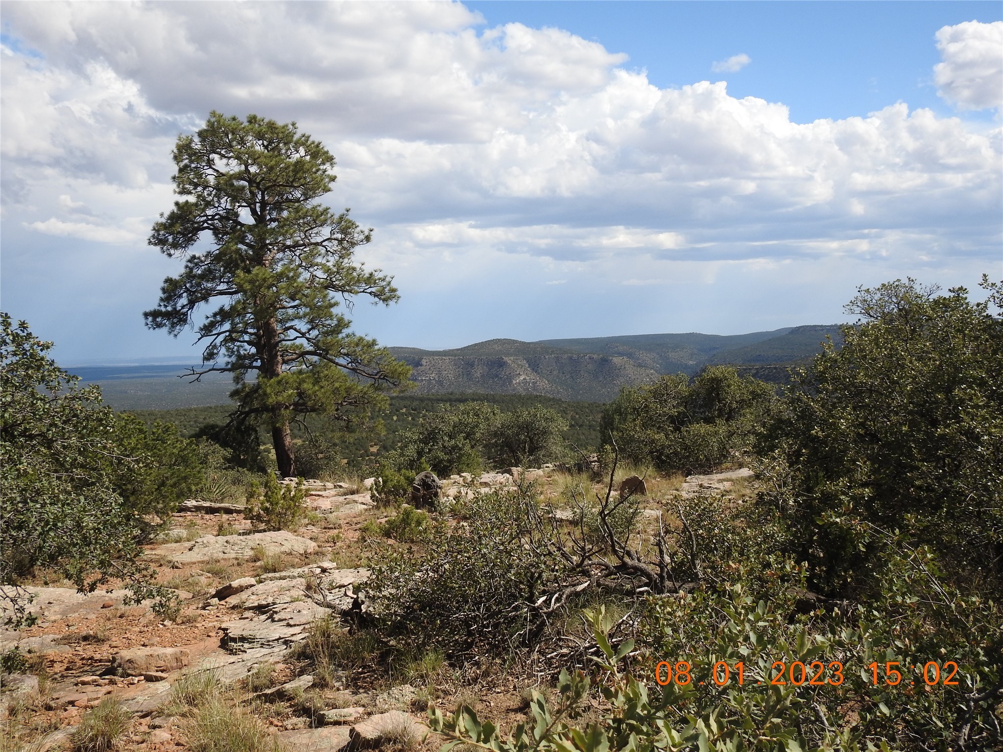 Photo 32 of 44 of 784 Apache Mesa Road land