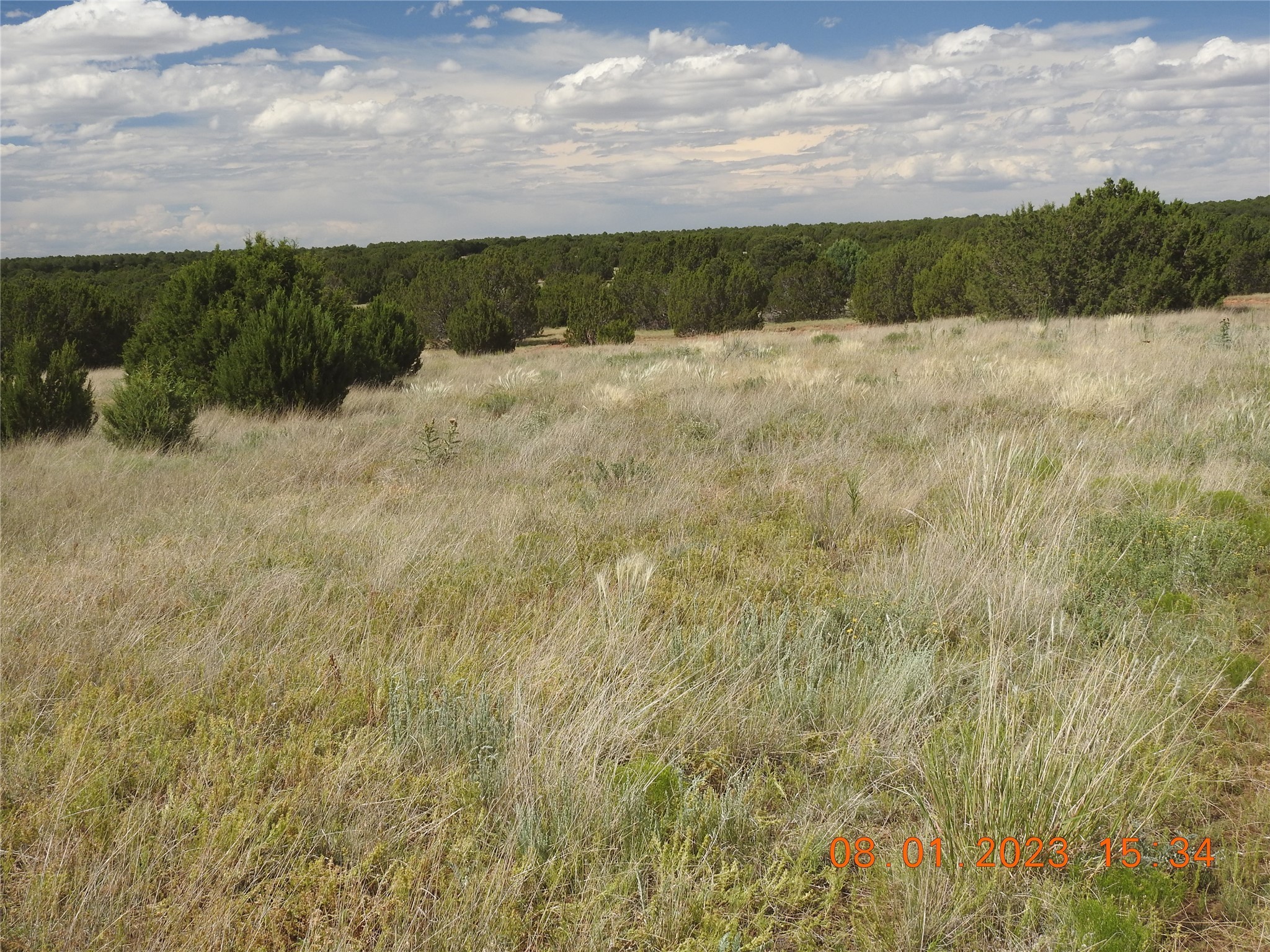 Photo 21 of 44 of 784 Apache Mesa Road land
