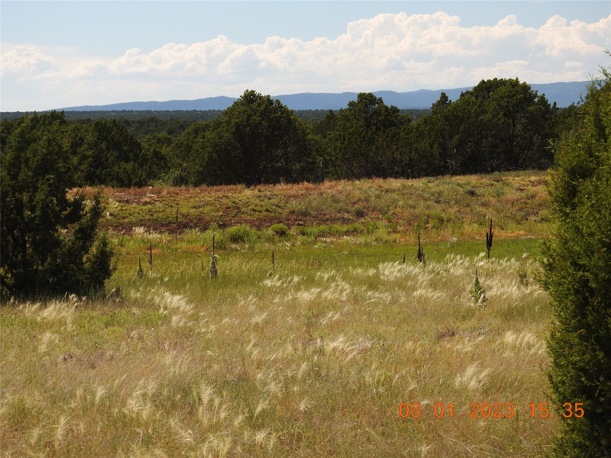 Photo 23 of 44 of 784 Apache Mesa Road land