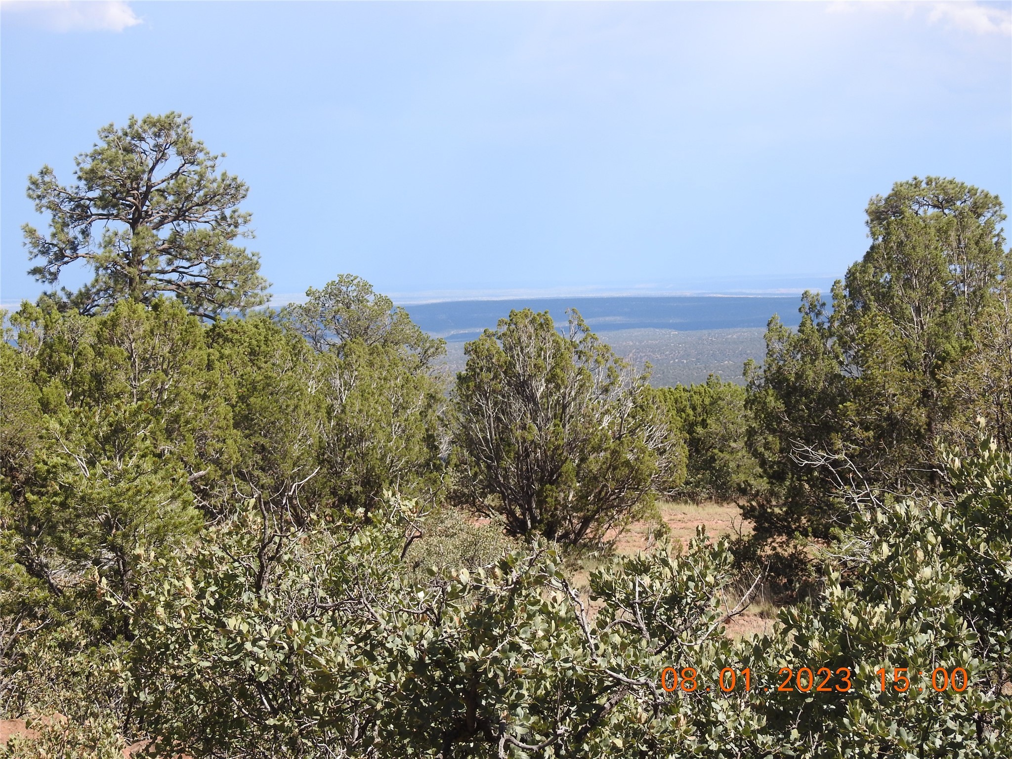 Photo 30 of 44 of 784 Apache Mesa Road land