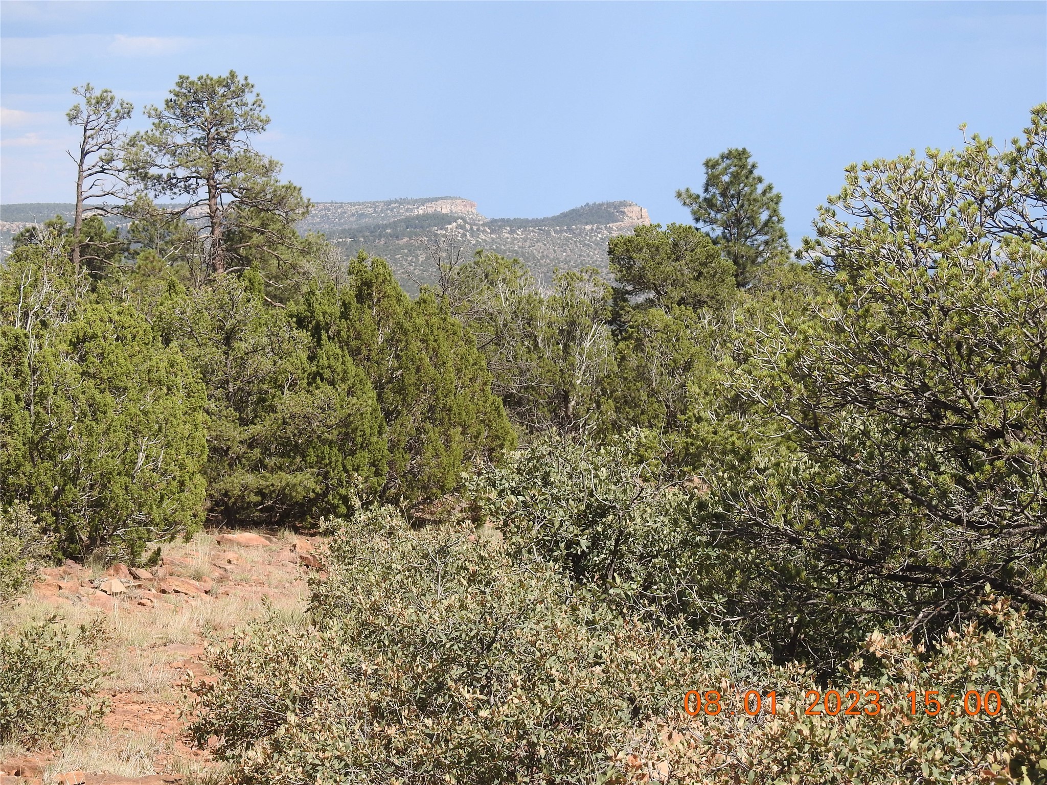 Photo 29 of 44 of 784 Apache Mesa Road land