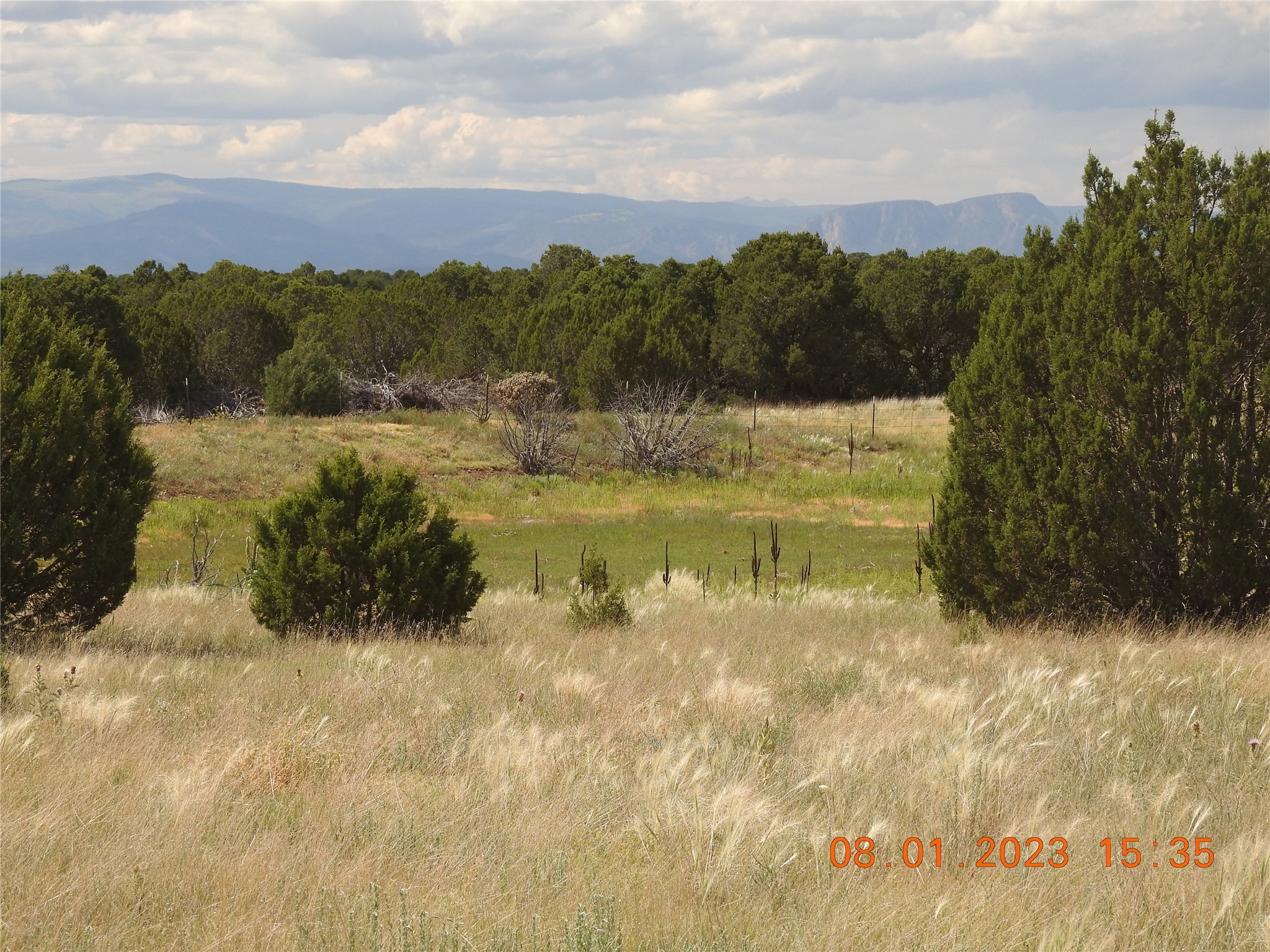 Photo 22 of 44 of 784 Apache Mesa Road land