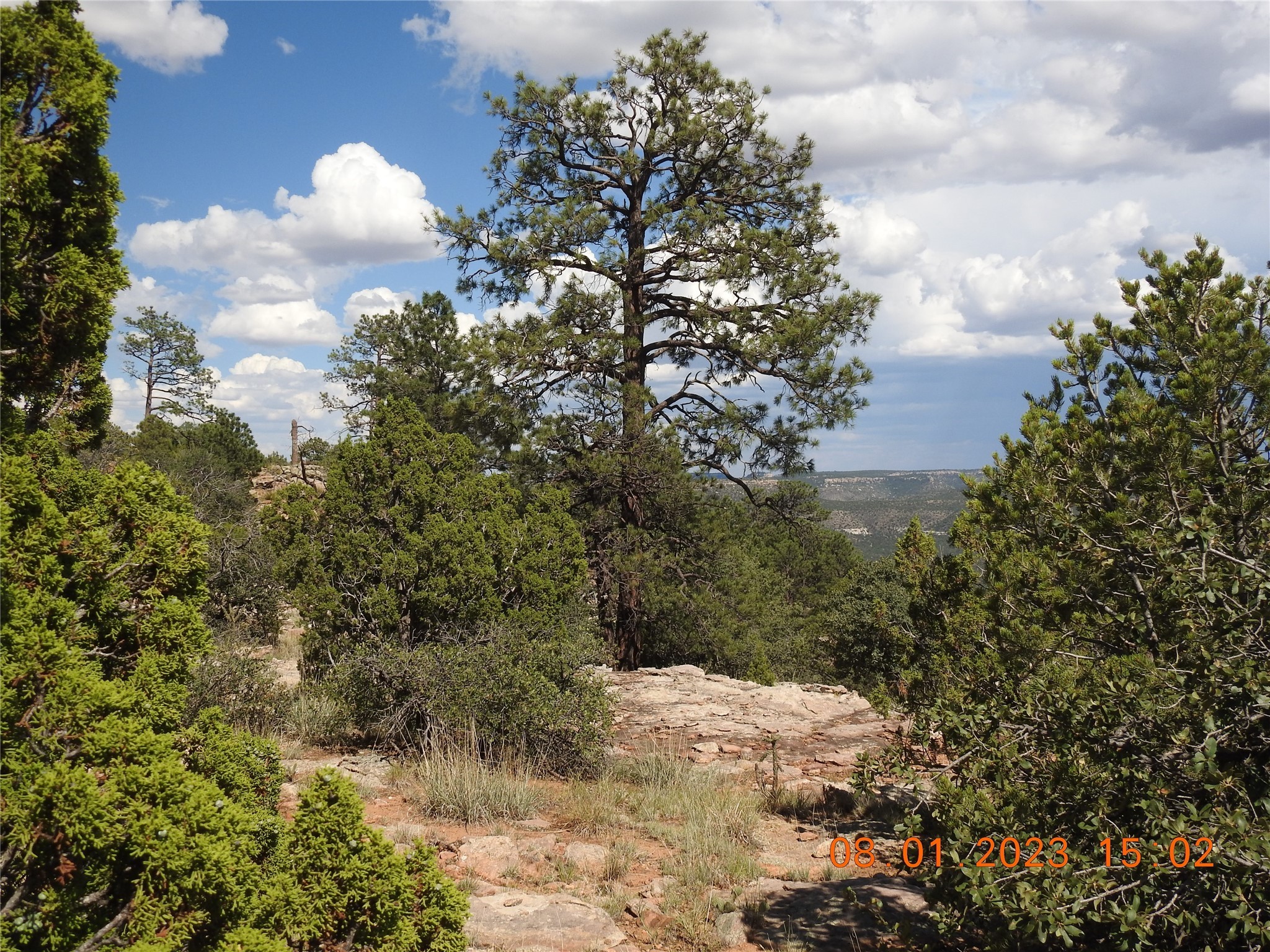 Photo 33 of 44 of 784 Apache Mesa Road land