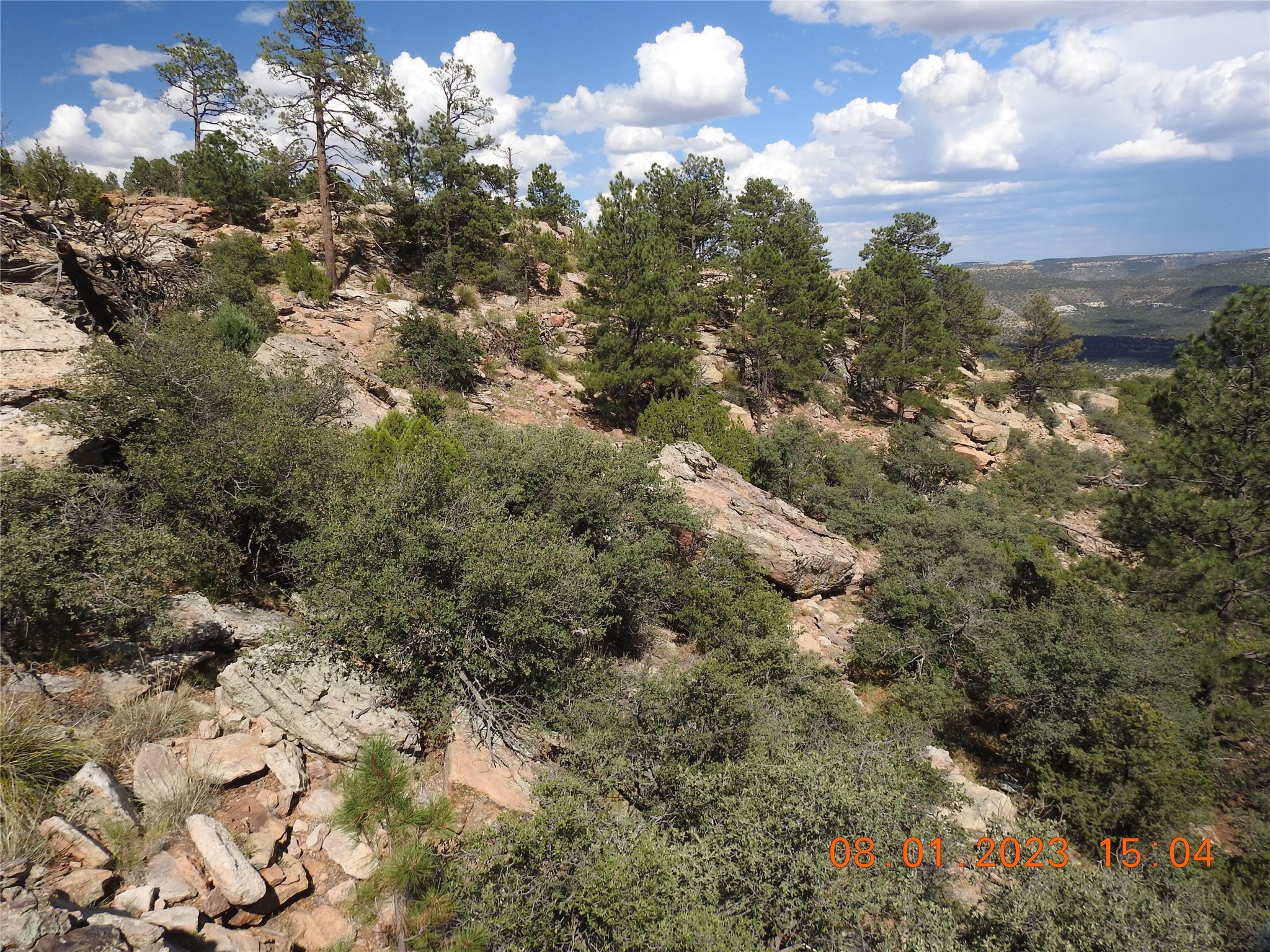 Photo 35 of 44 of 784 Apache Mesa Road land