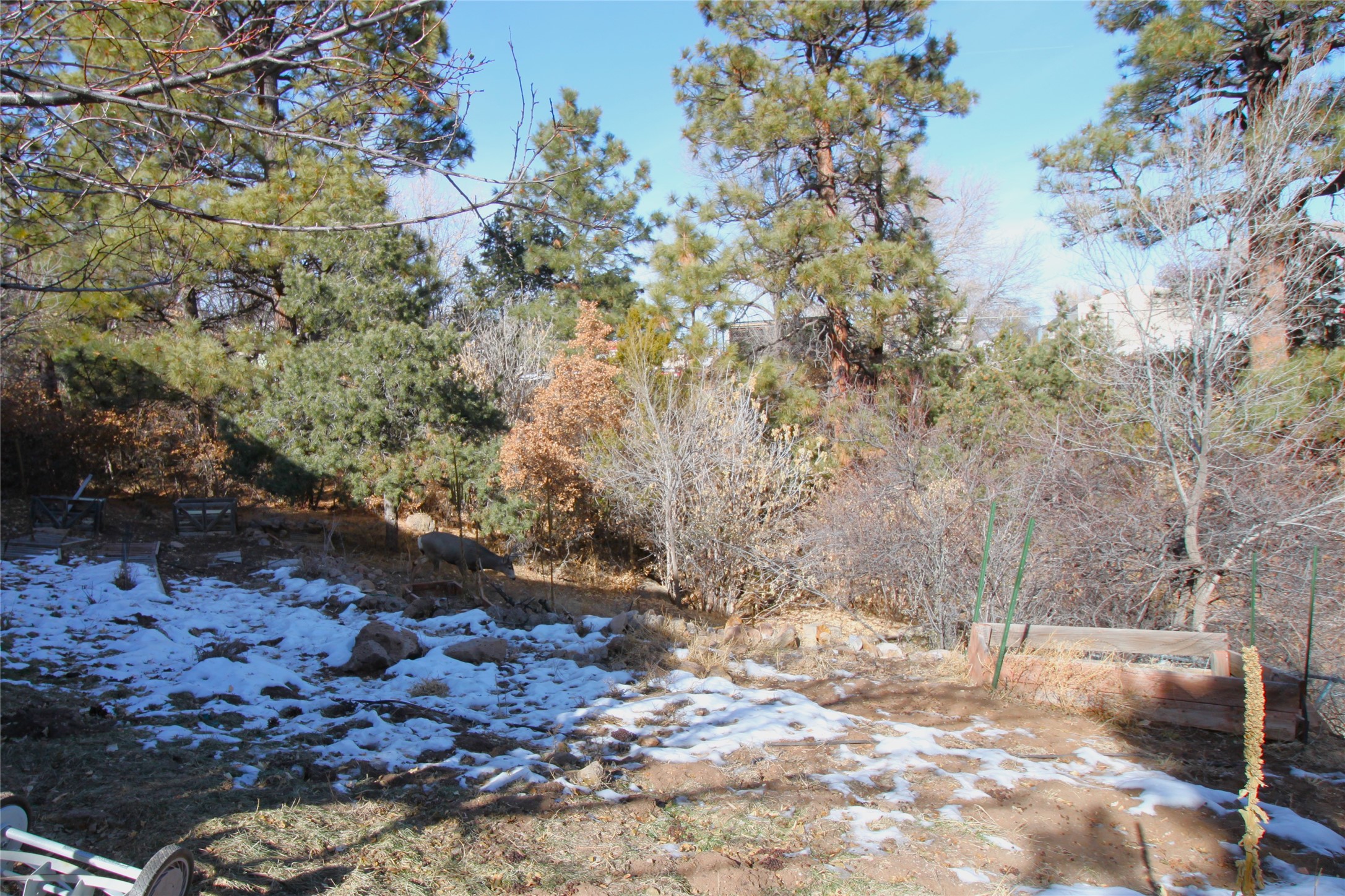 908 Capulin Road, Los Alamos, New Mexico image 37