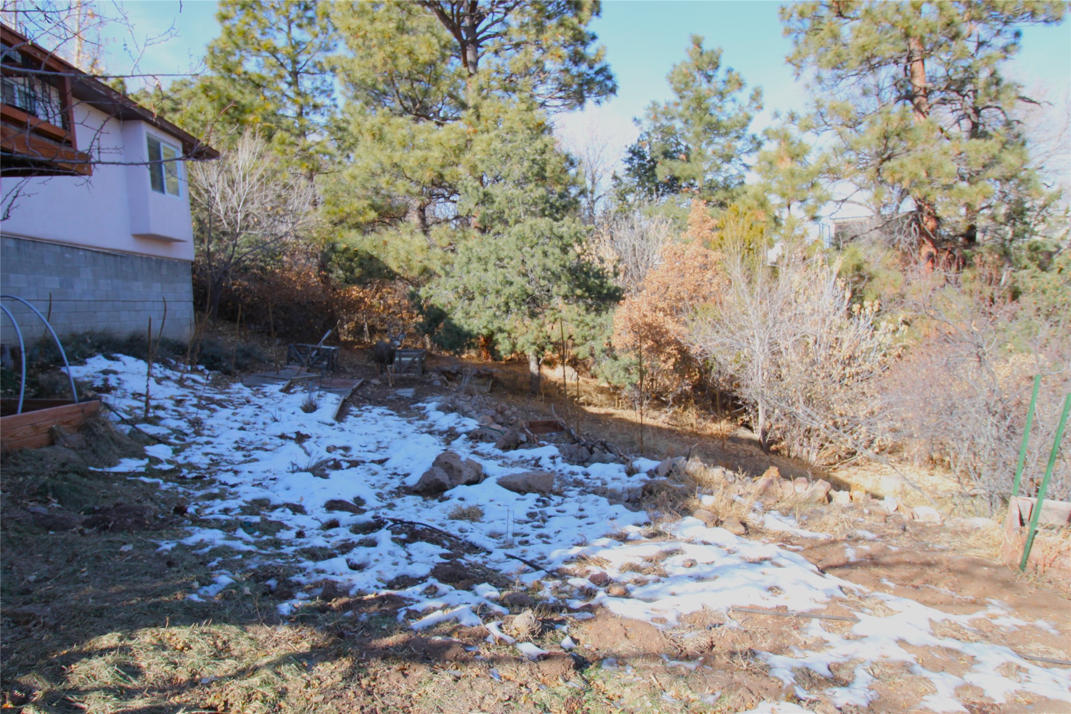 908 Capulin Road, Los Alamos, New Mexico image 36