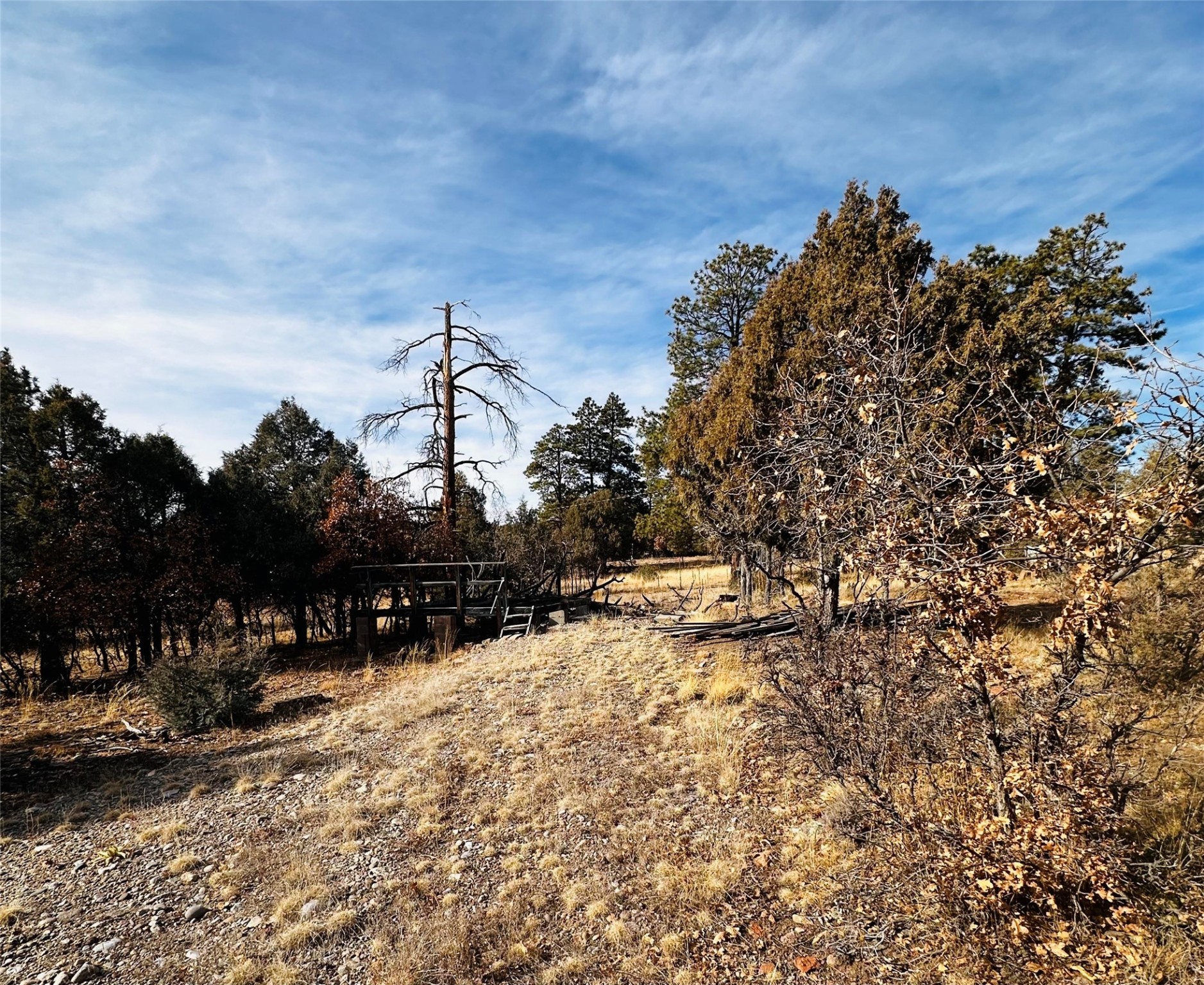 Land, Tierra Amarilla, New Mexico image 5