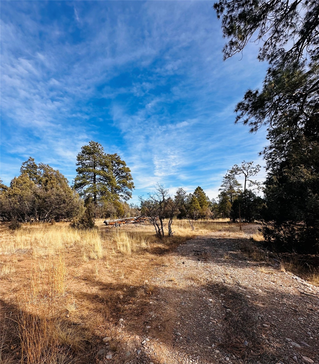 Land, Tierra Amarilla, New Mexico image 3