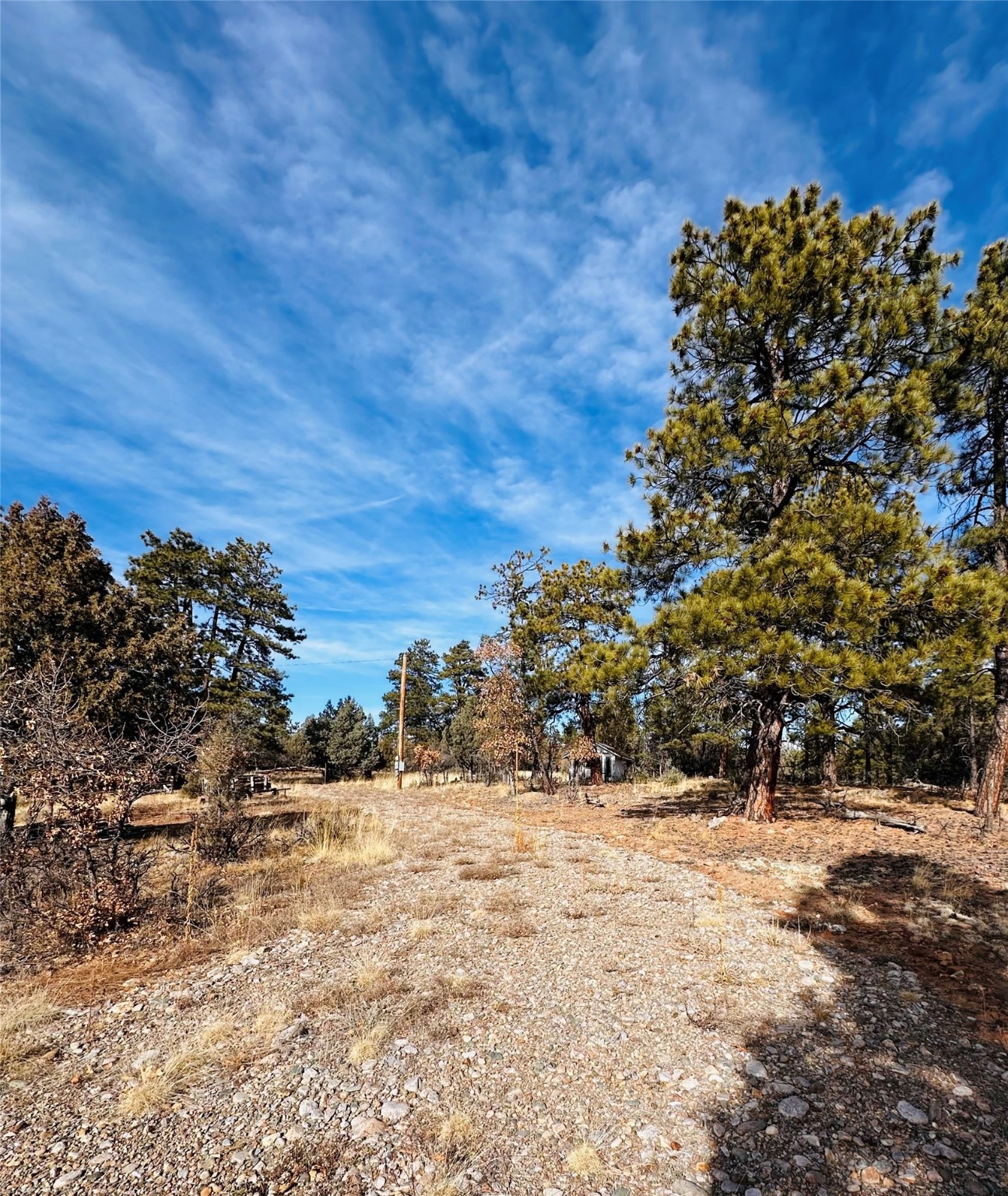 Land, Tierra Amarilla, New Mexico image 2