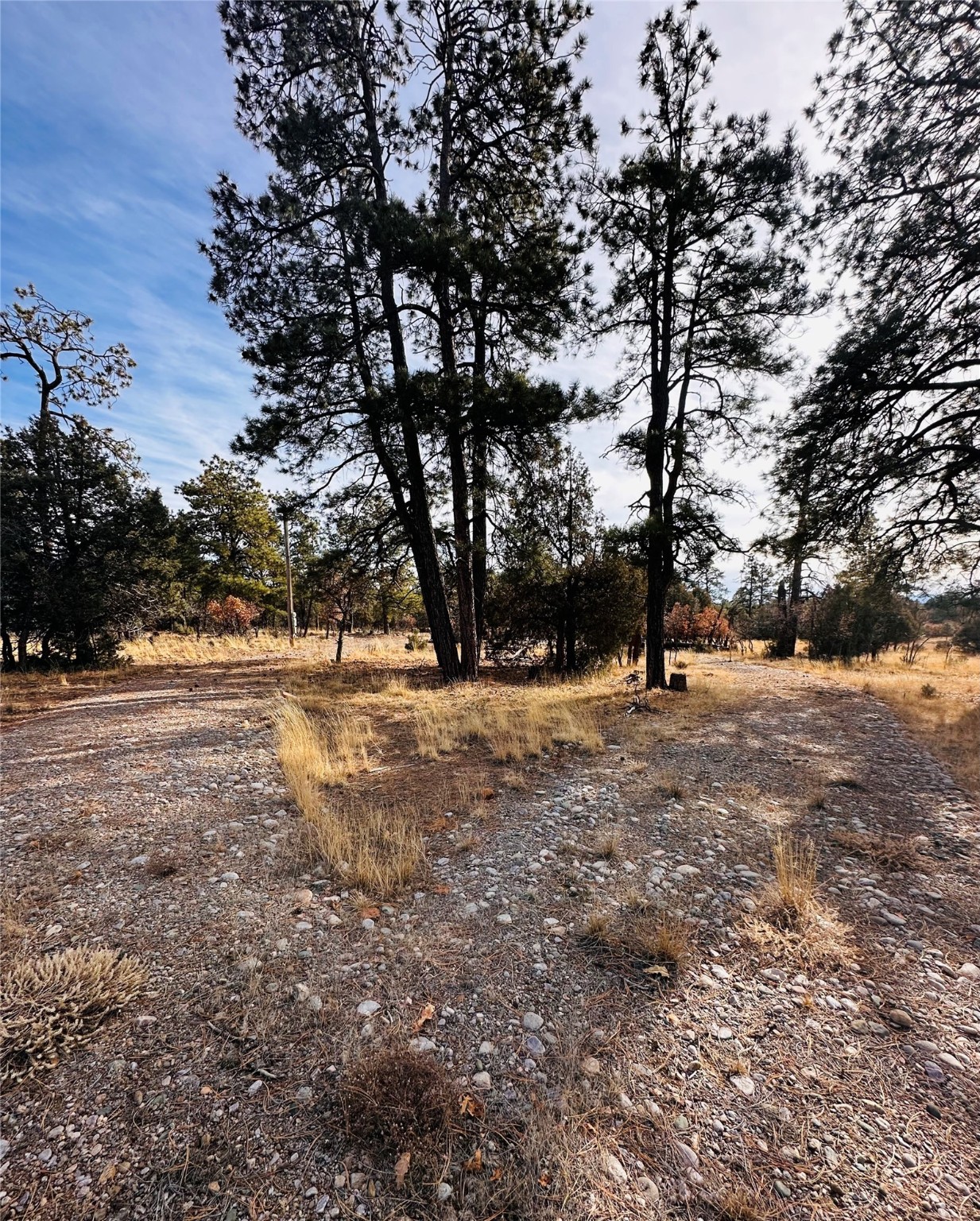 Land, Tierra Amarilla, New Mexico image 4