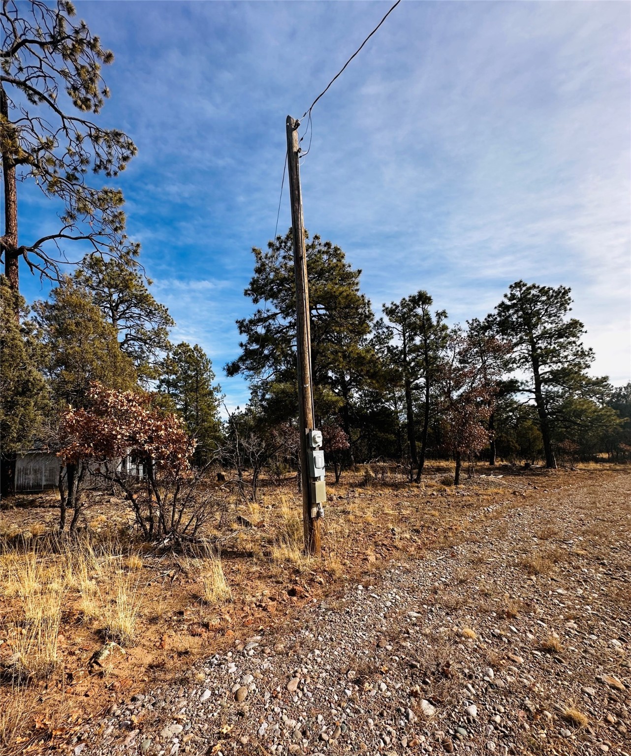 Land, Tierra Amarilla, New Mexico image 6