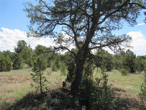Tiny photo for 82 Rancho Mesita, Santa Fe, NM 87508 (MLS # 202603844)
