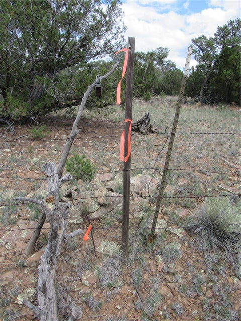 Tiny photo for 82 Rancho Mesita, Santa Fe, NM 87508 (MLS # 202603844)