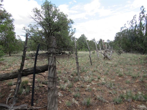 Tiny photo for 82 Rancho Mesita, Santa Fe, NM 87508 (MLS # 202603844)