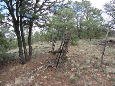 Tiny photo for 82 Rancho Mesita, Santa Fe, NM 87508 (MLS # 202603844)