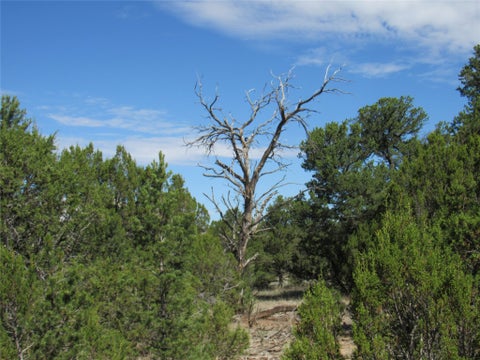 Tiny photo for 82 Rancho Mesita, Santa Fe, NM 87508 (MLS # 202603844)