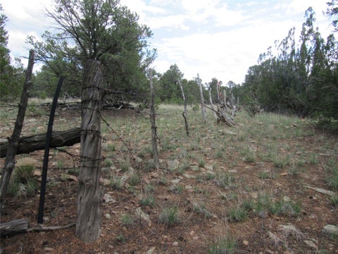 Tiny photo for 82 Rancho Mesita, Santa Fe, NM 87508 (MLS # 202603844)
