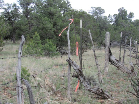 Tiny photo for 82 Rancho Mesita, Santa Fe, NM 87508 (MLS # 202603844)