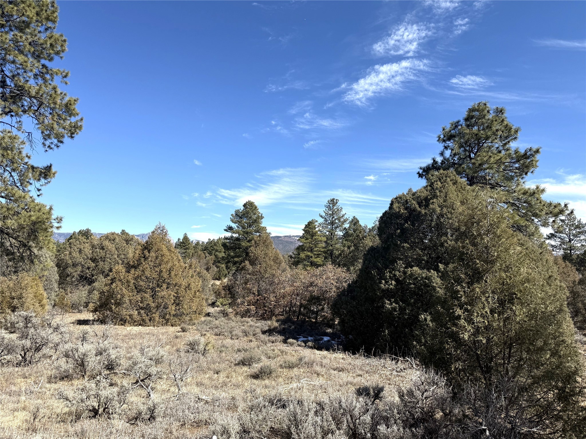 TBD Us Hwy 84, Tierra Amarilla, New Mexico image 5