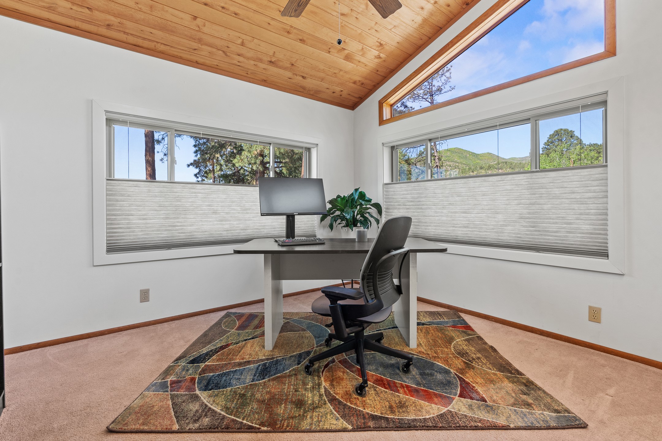 2040 47th Street, Los Alamos, New Mexico image 3