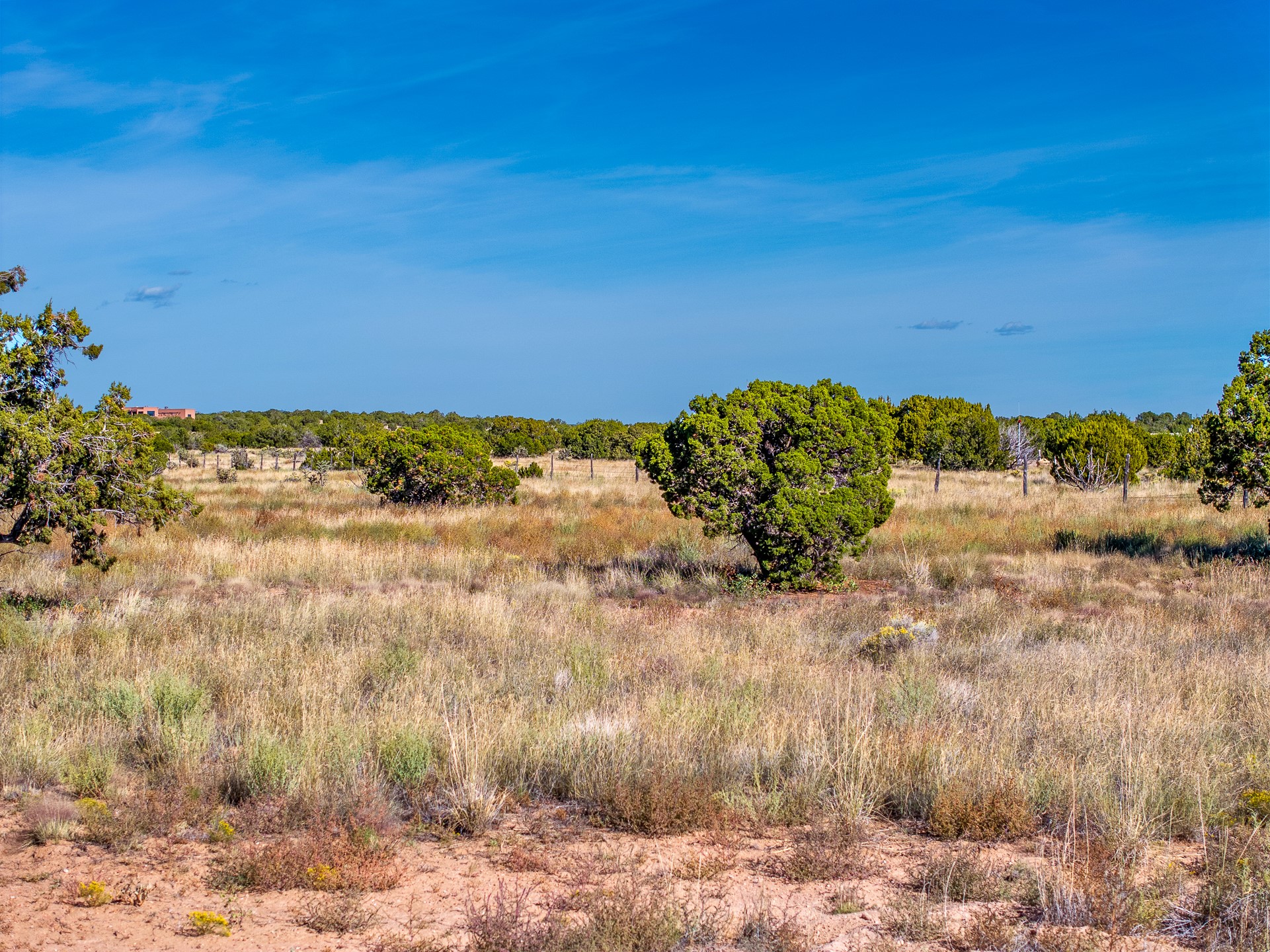 62 Camino Rosa Linda, Lamy, New Mexico image 16