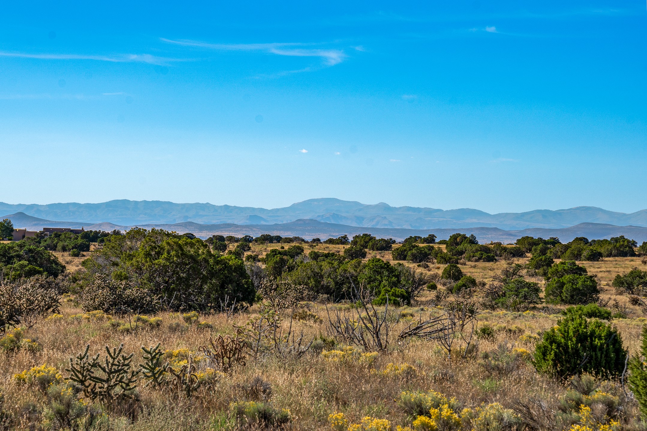 62 Camino Rosa Linda, Lamy, New Mexico image 10