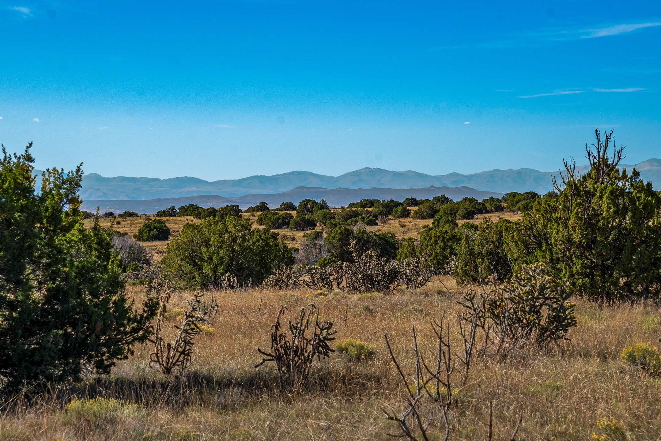 62 Camino Rosa Linda, Lamy, New Mexico image 9