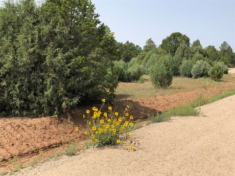 Vacant Land For Sale - 000 Silver Feather Trail<br/> Pecos, NM 87552