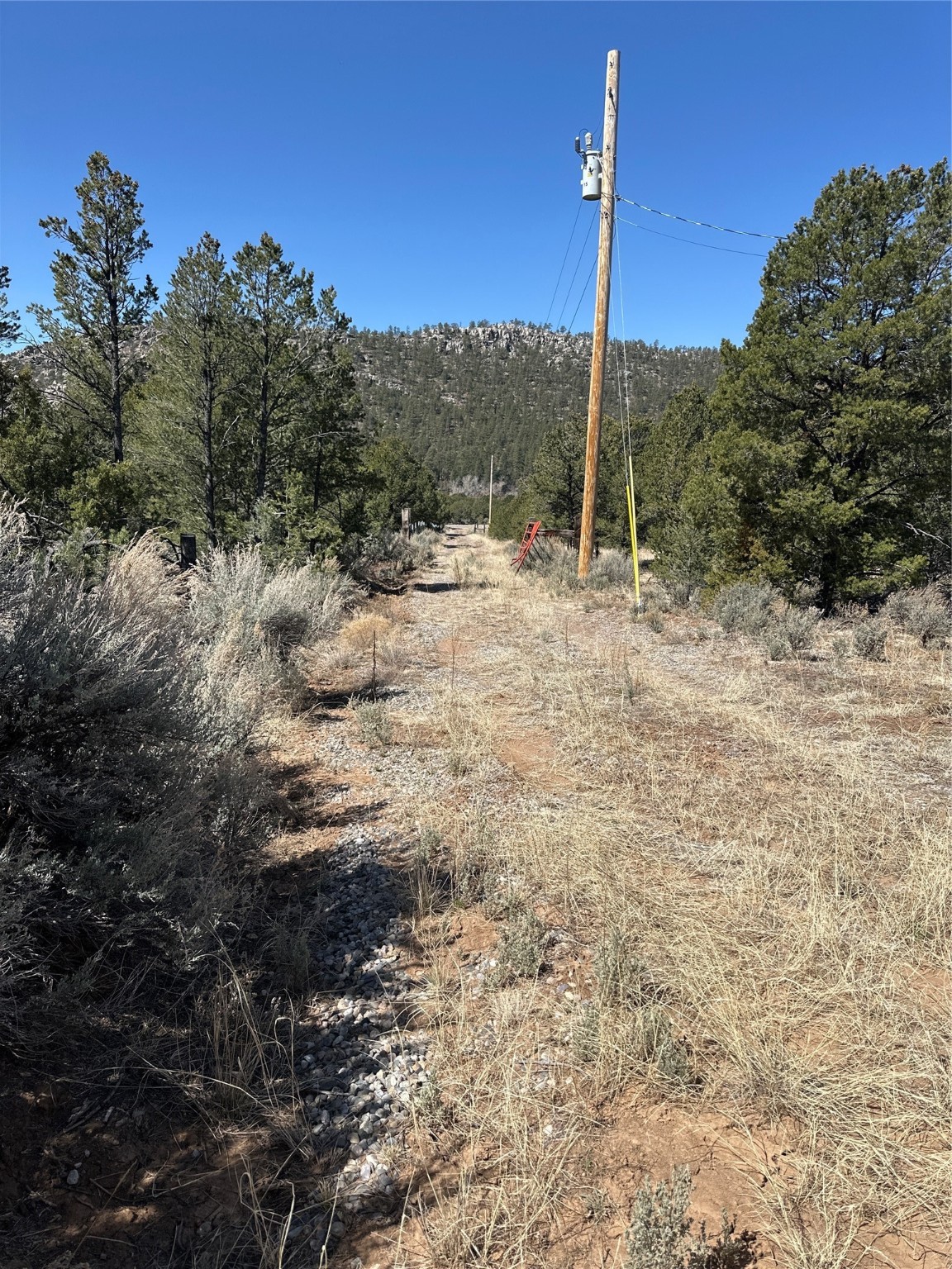 1480 State Road 111, Vallecitos, New Mexico image 3